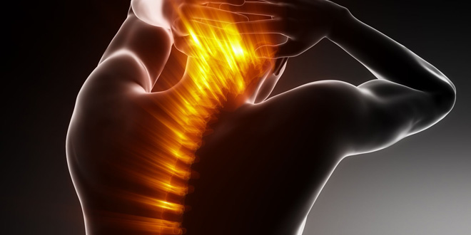 Rückenschmerzen, eine Volkskrankheit (©123rf.com)