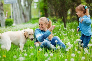 Tierkommunikation mit Hunden (©123rf.com)