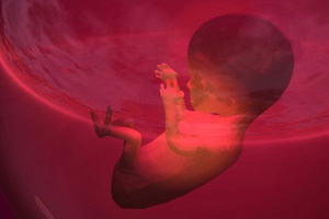 3D render Abbildung eines Embryos (©123rf.com)