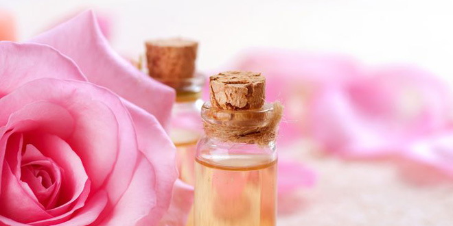 Rosenöl, sehr wertvoll und teuer (©123rf.com)
