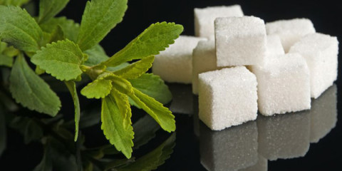 Stevia, gegen den Zucker ist ein Kraut gewachsen