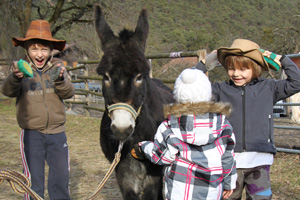 FEBSen beim Ponyfest kennenlernen