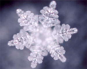 Wasserkristall unter Mikroskop (©masaru-emoto.net)